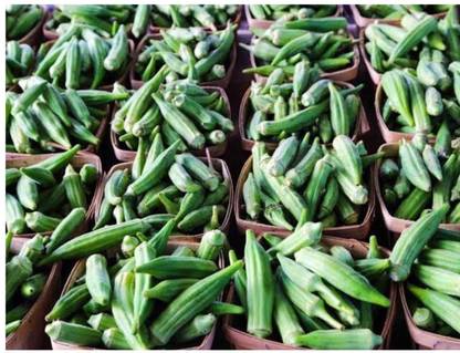 greenfarm NXC- Okra seeds/Bhindi seeds /Best Quality , 150 X Seeds, FCX40 Seed