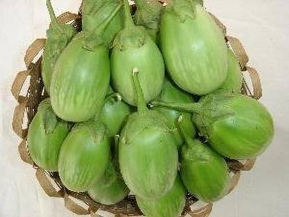 Mozette Organic Brinjal green round Seed