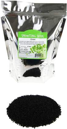 VibeX ® LXI-346 Onion Sprouting Seeds:Chemical Free Seed