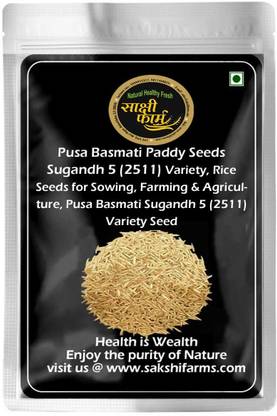 Sakshi Farms Sugandha 5, Pusa Basmati, Rice Seeds for Sowing,Farming & Agriculture, Paddy Seed