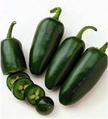 TRICONE Hot Papper Hybrid Sorthi 29 Chilli Mirch 1000 Seeds R34 Seed