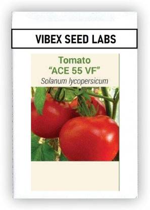 CYBEXIS F1 Hybrid Ace 55 VF Tomato Seeds500 Seeds Seed
