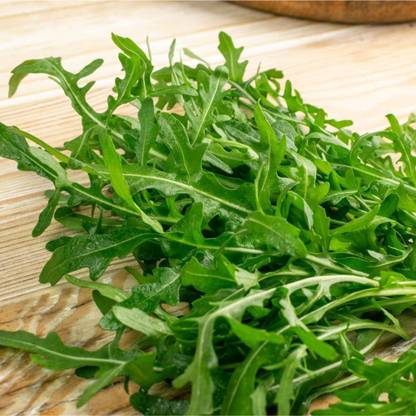 CYBEXIS GUA-83 - Wild Arugula - (250 Seeds) Seed