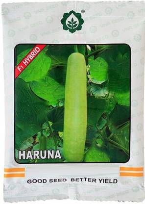 VibeX F1 Hybrid Rehka Bottle Gourd-(10 Gms, 50 Seeds) Seed