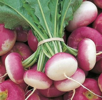 Shalgam beej Best quality F1 hybrid Turnip seeds 25g, good safe and size Seed