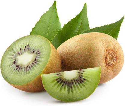ActrovaX Mini Kiwi Fruit [50 Seeds] Seed