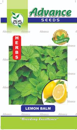 U-GROW INDIA UGROW INDIA LUSCIOUS LEMON BALM ZESTY ADDITION TO YOUR GARDEN PLANT&SEEDS Seed