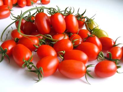 DHENU PRASAD 1904 F1 Hybrid Oval Long Tomato Seed