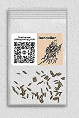 Biosnyg QAN-68 Dandelion-[800 Seeds] Seed