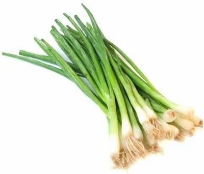 Mozette Organic bunching onion Seed