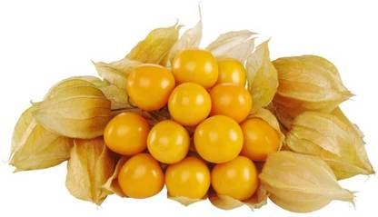 QALANDAR Cape Gooseberry(रसभरी) Seed