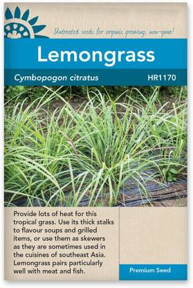 VibeX ATS-67 - Lemon Grass Mosquito Repellent Plant - (2250 Seeds) Seed