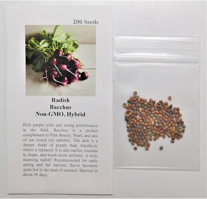 Qualtivate HXL-7AT Radish Bacchus (Purple) Seed