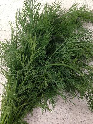 VibeX PUAS-9 - Dill Fragrant Hardy - (250 Seeds) Seed