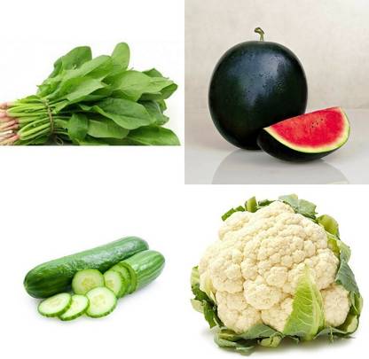 SimXotic Combo of Cucumber, Watermelon, Spinach Green Palak & Cauliflower (GMO-FREE) Seed