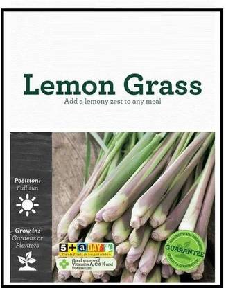VibeX GUA-66 - Lemon Grass (West Indian) - (250 Seeds) Seed