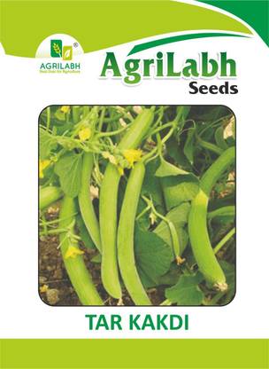 agrilabh CUCUMBER, KAKDI, TAR KAKDI Seed
