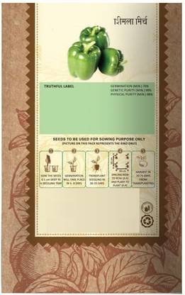 WILLVINE PUAS-99 Capsicum Green ANDHRA-115 Seeds Seed