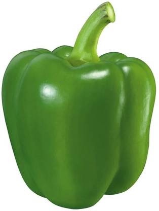 Avysa Green Capsicum / Bell Pepper Seed