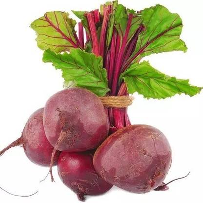 Quentova Vegetable Beet seeds, Organic Beetroot Seed