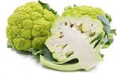 Lorvox Green Cauliflower|Phol Gobhi Hybrid F1 Seeds for Home Gardening Seed