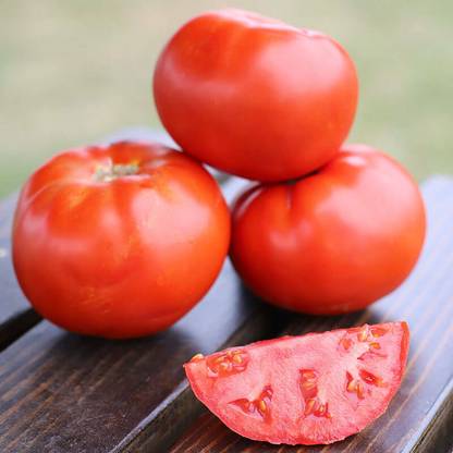 Avysa Tomato Red Deuce Seed