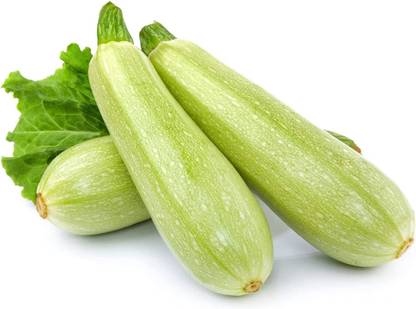 CYBEXIS ATS-33 - Zucchini Squash - (675 Seeds) Seed