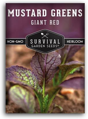 WILLVINE PAU-59 Giant Red Mustard Greens Seeds Seed