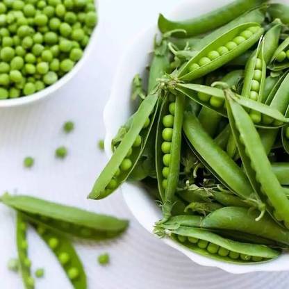 Avysa Quality Pigeon Pea Seed