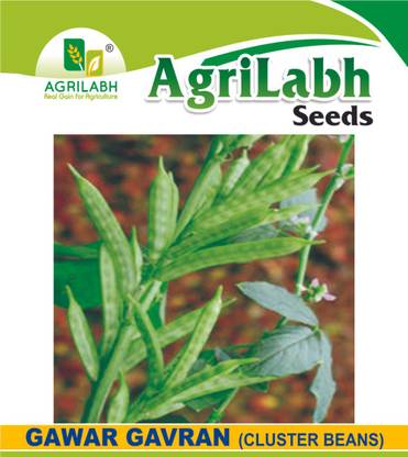 agrilabh GAVAR GAVRAN CLUSTER BEANS Seed
