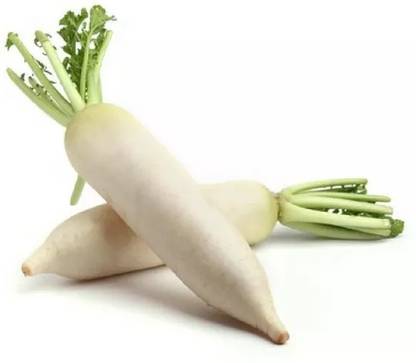 VINTI Rare White Radish (Mooli) Vegetable (मूली के बीज) Seed