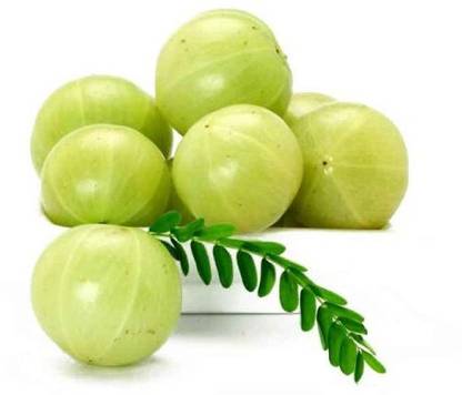 EasySeeds Amla, Indian Gooseberry, Amalaka, Aonla Seed
