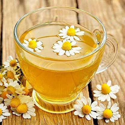 VibeX ® XXL-52 Roman Chamomile Seeds Seed