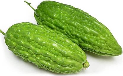 VibeX ® XXL-36 Chinese Bitter Melon Gourd Seeds Seed