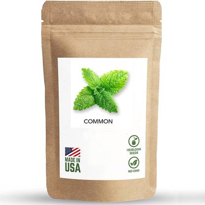 Biosnyg Wild Mint Herb Seeds-[250 Seeds] Seed