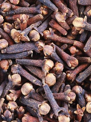 VibeX XL-29 - Clove Beans - (540 Seeds) Seed