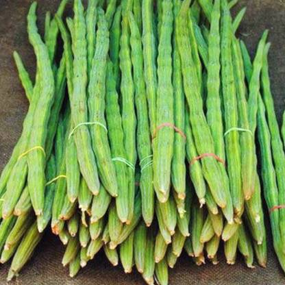 jkfarm Moringa, Drumstick, Sojne Seed