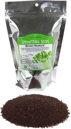 CYBEXIS NBIR-93 - Organic Brown Mustard Sprouting - (250 Seeds) Seed