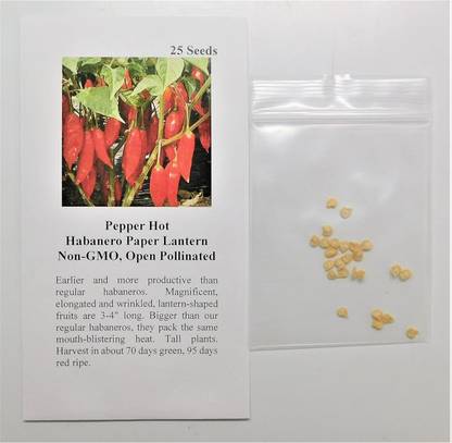 Qualtivate HYB-8A Hot Habanero Paper Lantern Chilli (Red) Seed