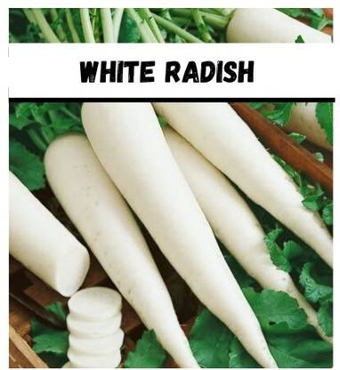 VINTI Radish (Mooli) Vegetable (मूली के बीज) Seed