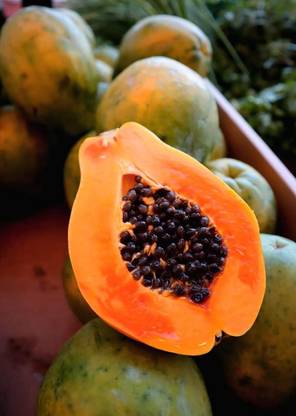 ACMS Very Fresh Rare! Dwarf Waimanalo Papaya! Tropical Fruit Tree Seed