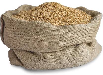 STOKIYA STOKIYA Wheat Seeds, DBW 231, & Agriculture (Kheti ), Gehu Ka Bheej (20 KG ) Seed