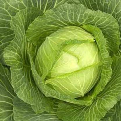 CRGO CABBAGE , PATTAGOBHI , BANDGOBHI Seed