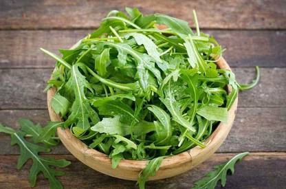 VibeX ATS-67 - Organic Arugula (Slow Bolt) - (250 Seeds) Seed