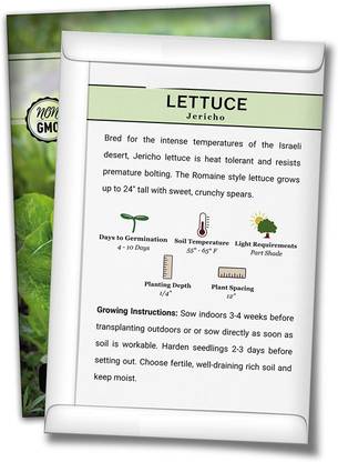 Biosnyg HFD-51 Jericho Lettuce Seed-[200 Seeds] Seed