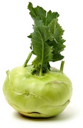 KANAYA Knol Khol Vegetable Fresh Hybrid Seed