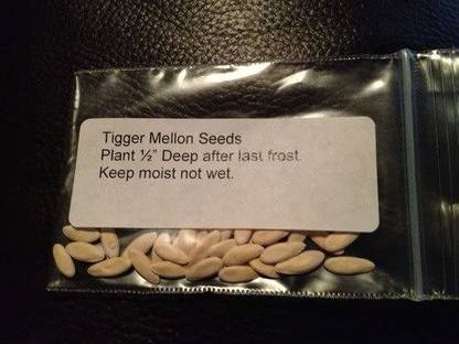 WILLVINE VVI-396 Rare Tigger Melon Seeds Seed