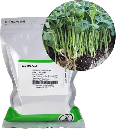VibeX XL-29 - Speckled Pea Sprouting - (100 Seeds) Seed