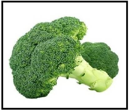Qualtivate XXX-1A Belstar Broccoli Seed Seed