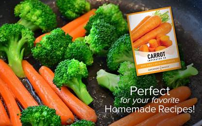 CYBEXIS XLL-1 - Carrot (Imperator 58) - (250 Seeds) Seed